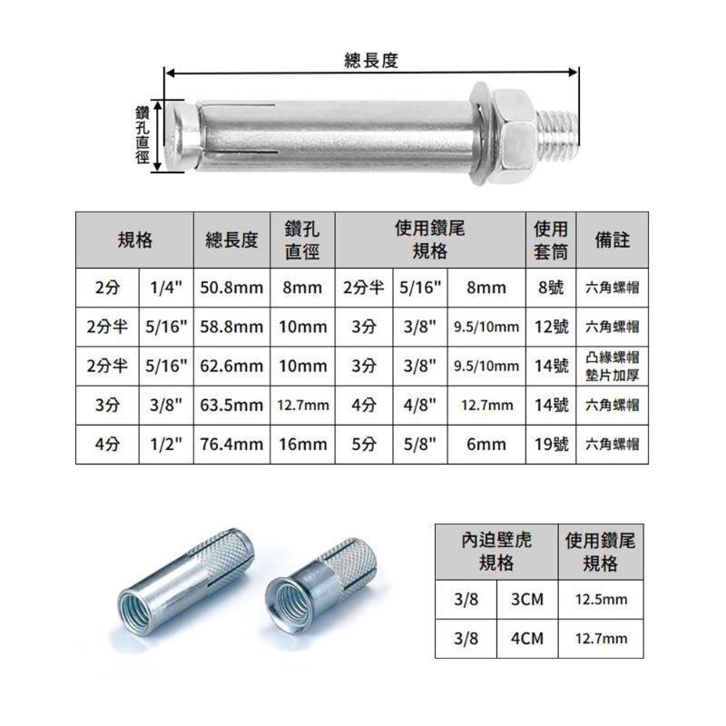 膨脹螺絲 【台灣製造】 內迫壁虎 凸牙壁虎 鑽尾 螺絲 水泥螺絲 自攻螺絲 高張力 壁虎 白鐵 鍍鋅 塑膠螺絲 快速釘-細節圖2