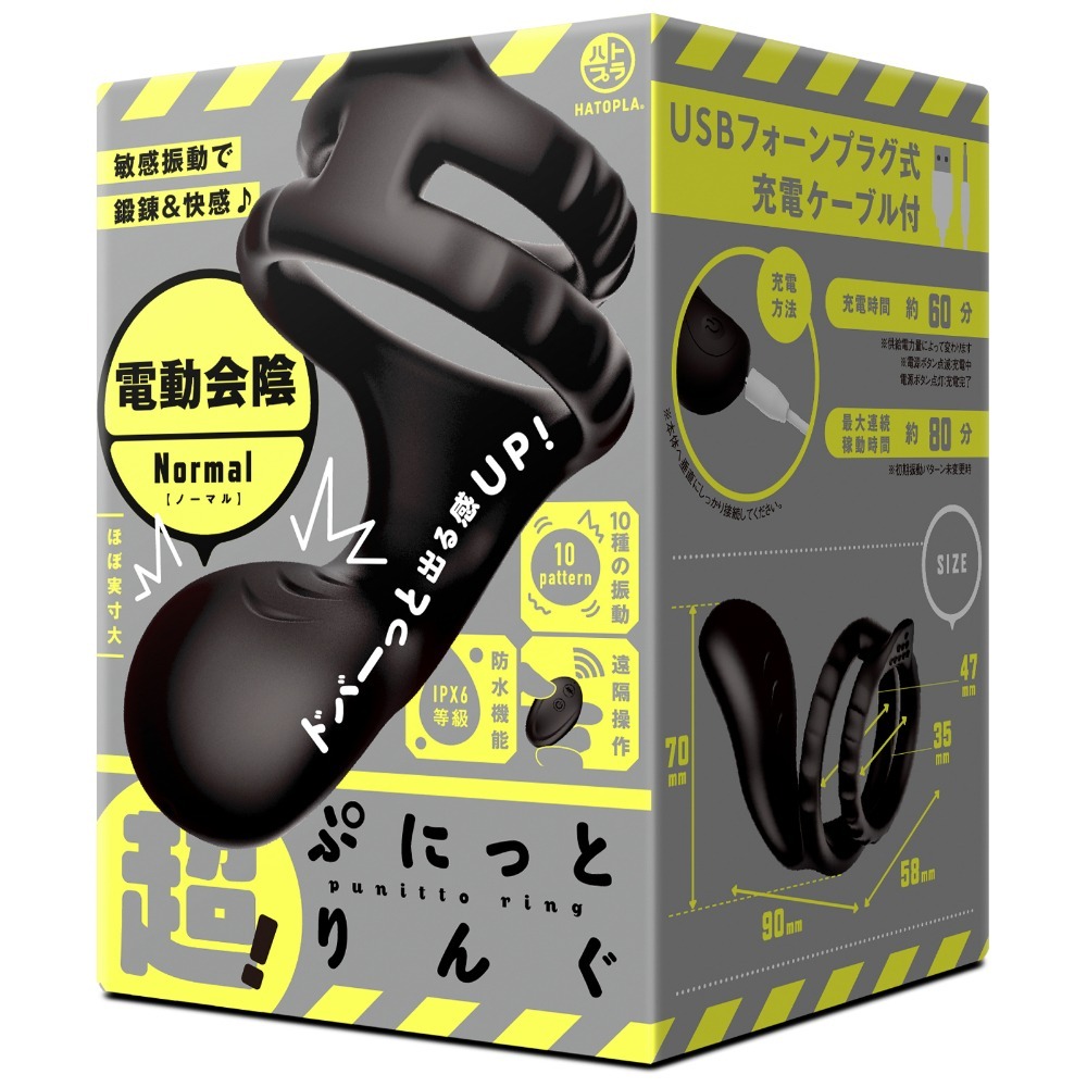 B：一般版