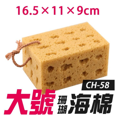 【傻瓜量販】(CH-58)大號珊瑚海綿 16.5*11*9cm洗車擦車蜂窩狀蜂巢 泡沫海棉 泡綿 打蠟海綿洗車海棉 板橋