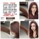 藍朵紛彩染髮膏 藍朵紛彩植物染髪劑 彩色染髮膏 無需褪色 一步到位 自染頭髮 輕鬆上色  雙氧奶 褪色乳 溫和無刺激-規格圖1