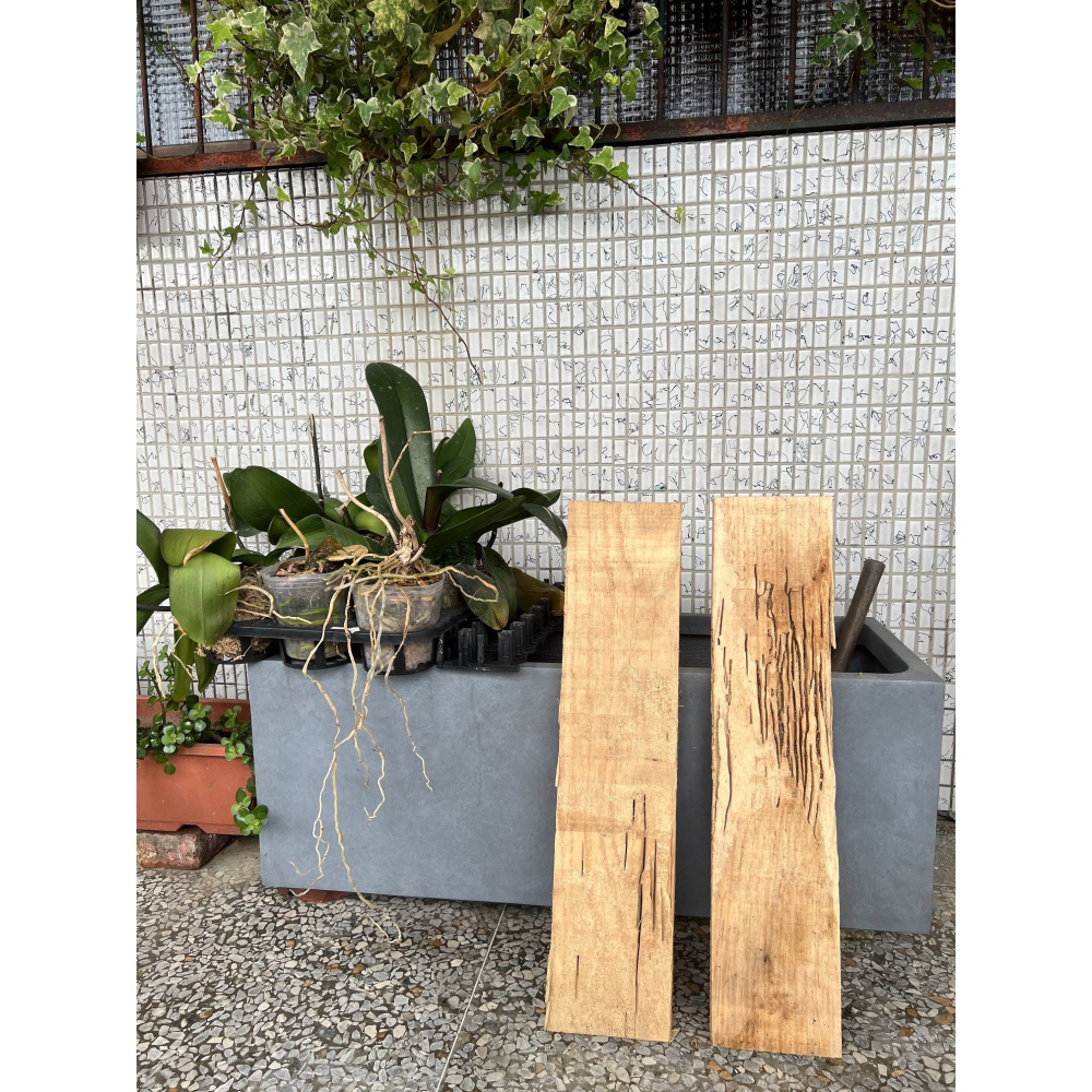 木板 實木 天然蟲蛀 適合蘭花的根系附著-細節圖2