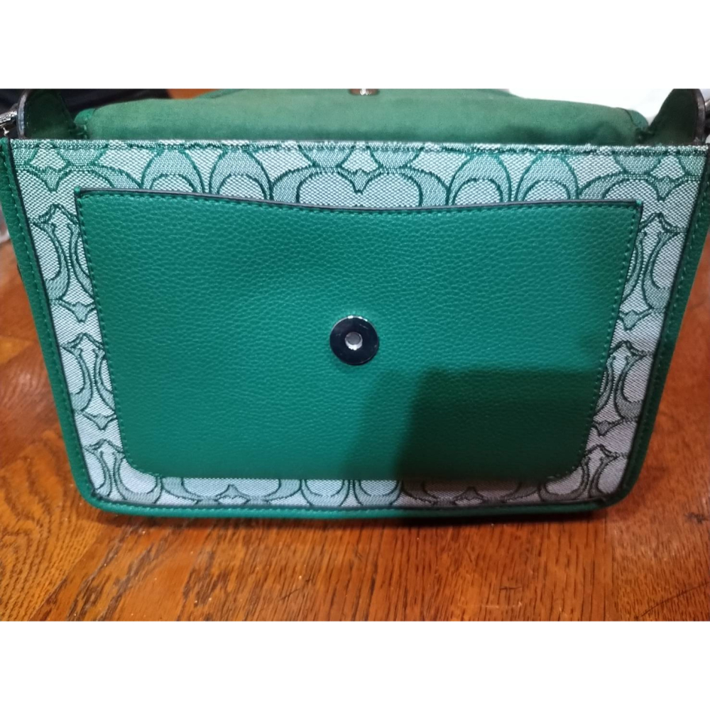 綠色 真皮 高尚 氣質 金吊飾 中款 黛妃包 手提包 斜背包  長寬高:8*18*25cm-細節圖2