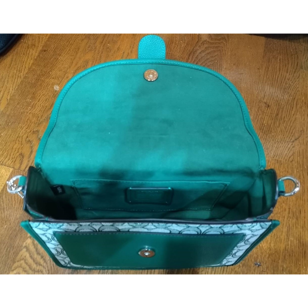 綠色 真皮 高尚 氣質 金吊飾 中款 黛妃包 手提包 斜背包  長寬高:8*18*25cm-細節圖4