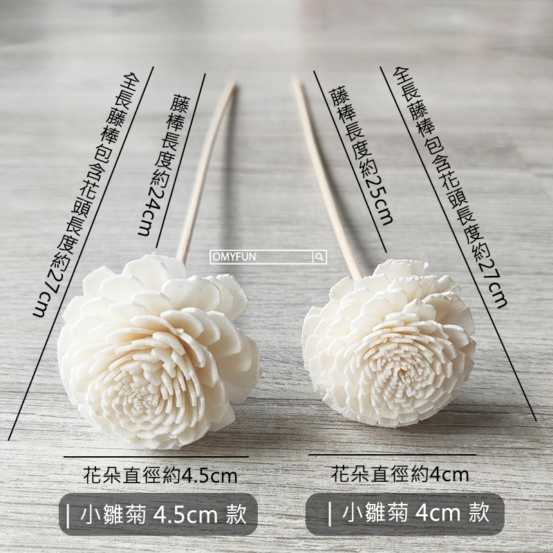 ▌OMYFUN ▌《4cm/4.5cm小雛菊擴香棒》擴香花/藤棒/擴香精油擴香棒/香薰精油/索拉花/乾燥花/通草花-細節圖3