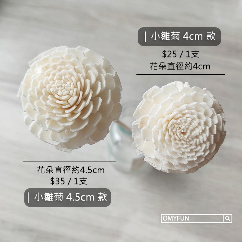 ▌OMYFUN ▌《4cm/4.5cm小雛菊擴香棒》擴香花/藤棒/擴香精油擴香棒/香薰精油/索拉花/乾燥花/通草花-細節圖4