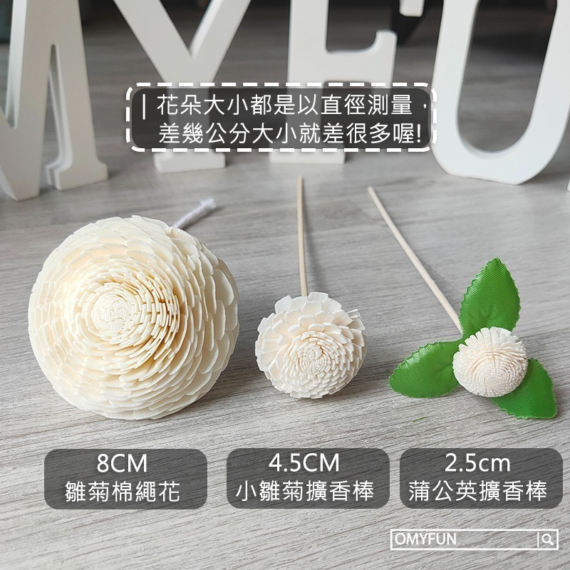 ▌OMYFUN ▌《4cm/4.5cm小雛菊擴香棒》擴香花/藤棒/擴香精油擴香棒/香薰精油/索拉花/乾燥花/通草花-細節圖9