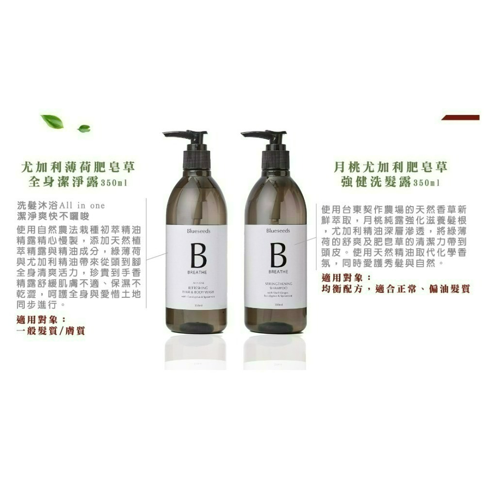 Blueseeds 芙氣雋永植萃禮盒 月桃尤加利葉薄荷強健洗髮露 +尤加利薄荷全身潔淨露-細節圖4