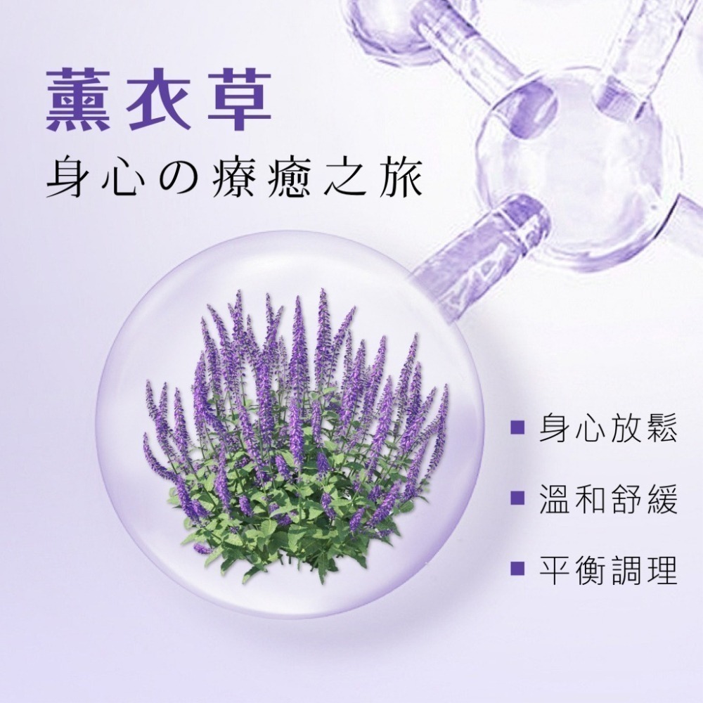 【Elizecosmo愛麗姿】薰衣草嫩白去角質凝露240ml/瓶-細節圖9