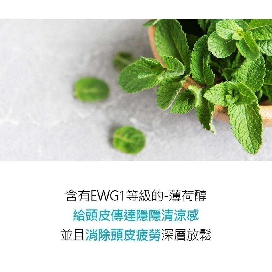 韓國 MEDALL 頭皮護理洗髮露(微涼木質調)控油 頭皮屑 蓬鬆 洗髮精 有中標-細節圖4