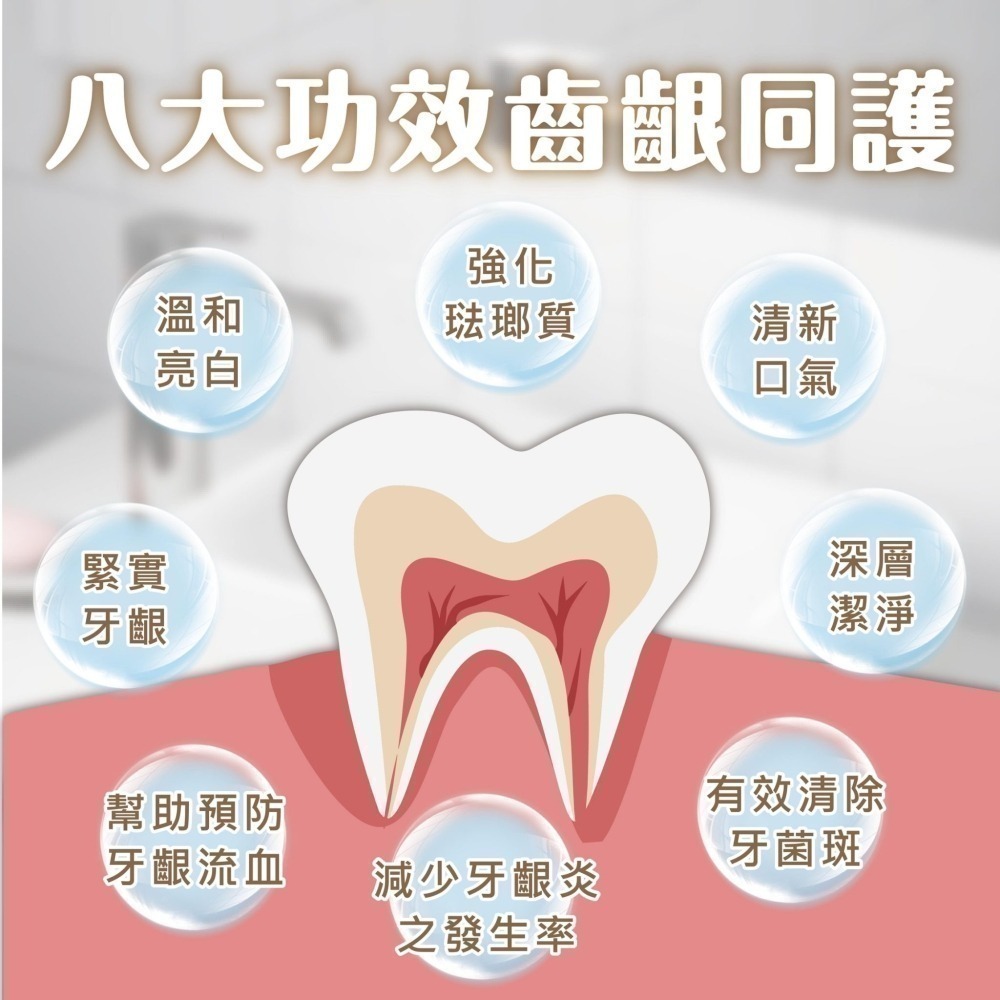 Elizecosmo 愛立淨 蜂膠牛樟芝牙周護理牙膏 120g/入 去除牙菌斑 強化牙齦-細節圖2