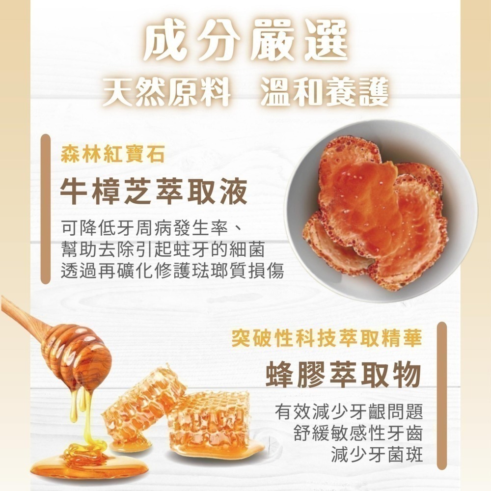 Elizecosmo 愛立淨 蜂膠牛樟芝牙周護理牙膏 120g/入 去除牙菌斑 強化牙齦-細節圖3