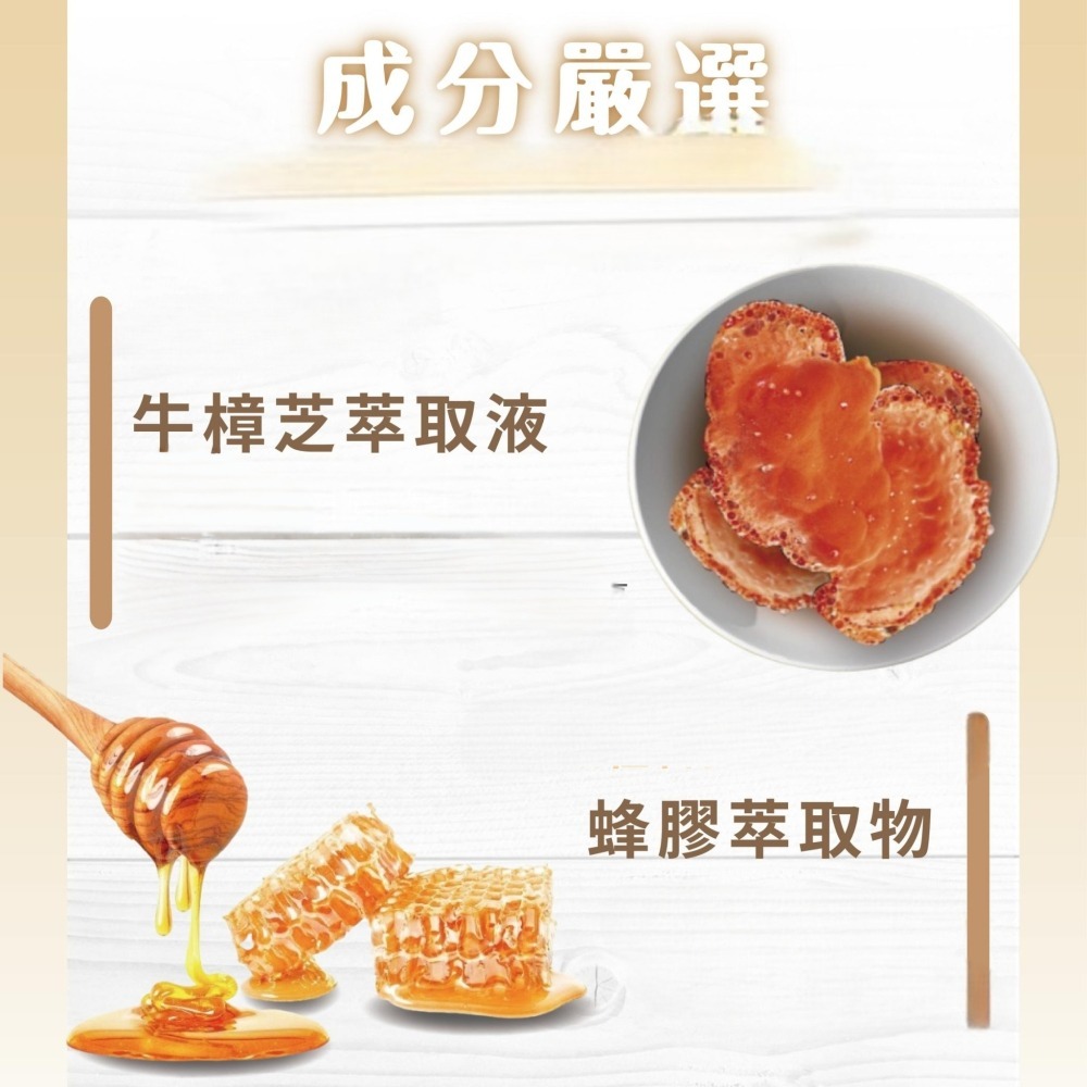 Elizecosmo 愛立淨 蜂膠牛樟芝牙周護理牙膏 120g/入-細節圖3