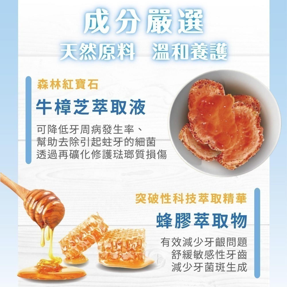Elizecosmo 愛立淨 蜂膠牛樟芝敏感防護牙膏 120g/入 抗敏感專用 冷熱痠痛 牙齦護理-細節圖2