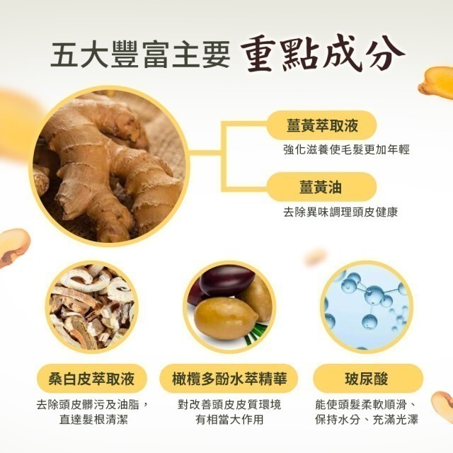 【FB長期團】薑黃健髮洗髮精750ml/瓶 超強去味👍深層清潔頭皮 不含矽靈-細節圖3