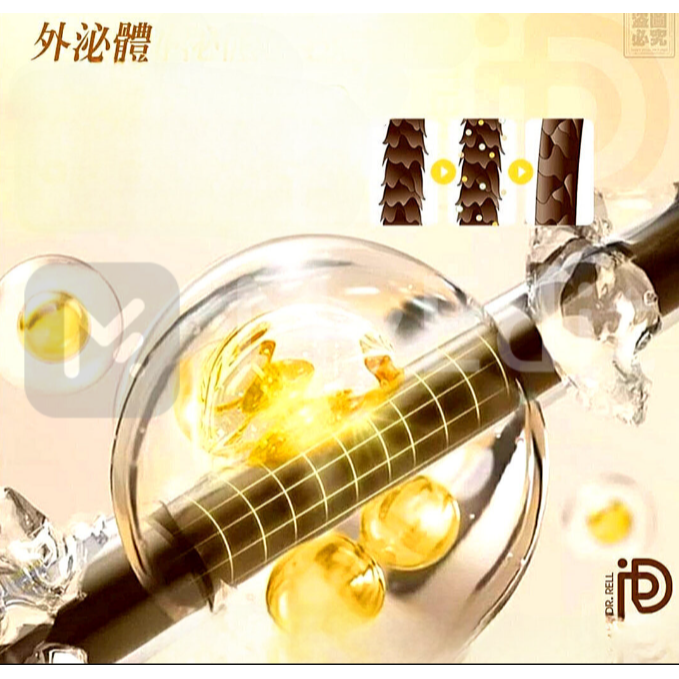 Dr.Rell 外泌體抗UV護髮油小金瓶30ml/瓶 清新木質調 免沖洗 護髮油-細節圖3