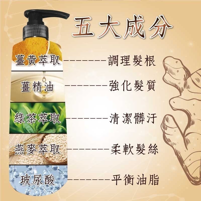 【Elizecosmo愛麗姿】薑黃洗髮精 500ml/瓶  強健髮根 蓬鬆豐盈-細節圖3