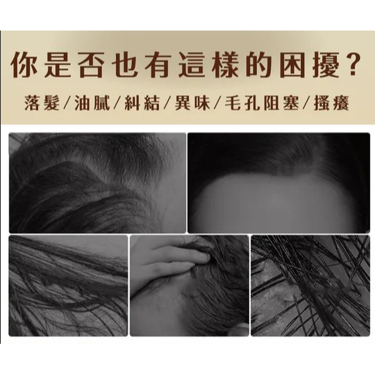 薑黃洗髮精 500ml/瓶 強健髮根 蓬鬆-細節圖2