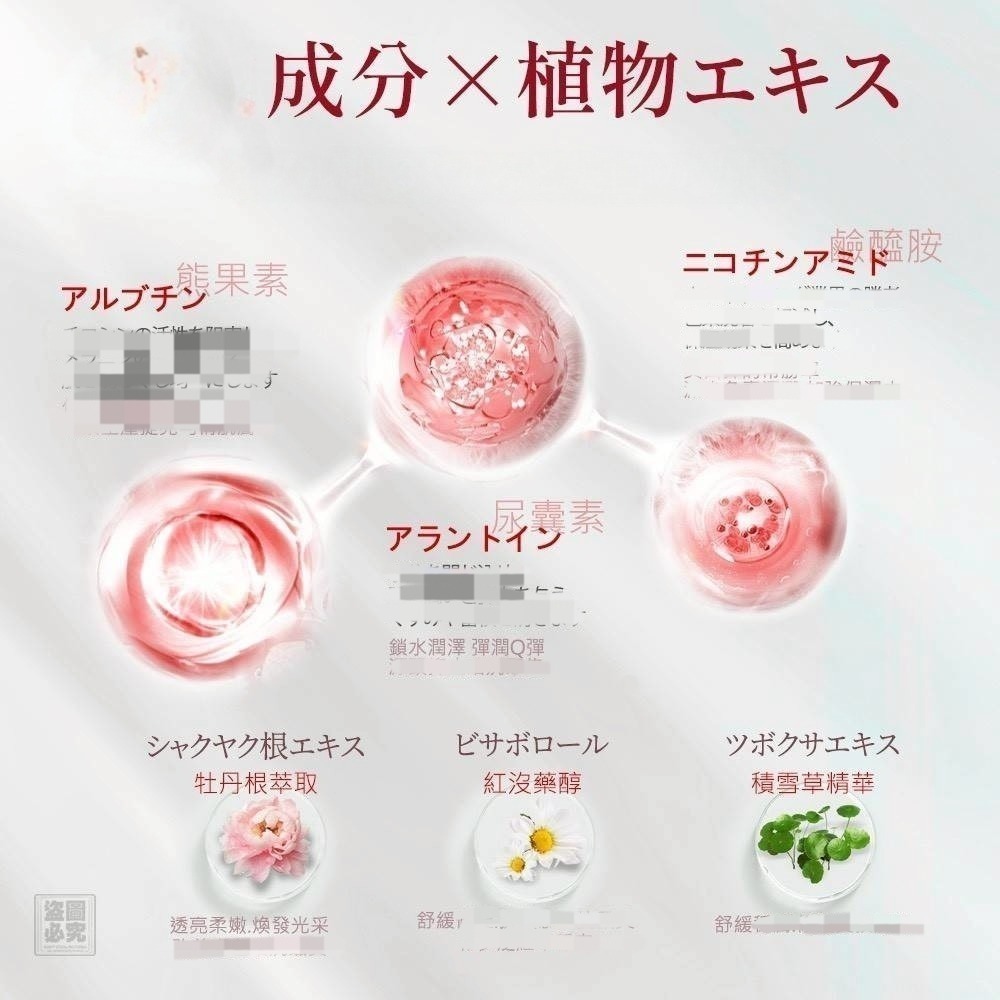 日本 瞬美姬 美肌亮白霜20g (有中標) (下1 出2 ) 日夜皆可使用-細節圖2