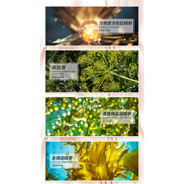 Arenes 電眼睫毛滋養精華液 (5ml/支) 睫毛、眉毛、髮際、鬢角皆可用  電眼羚翹睫滋養精華-細節圖4