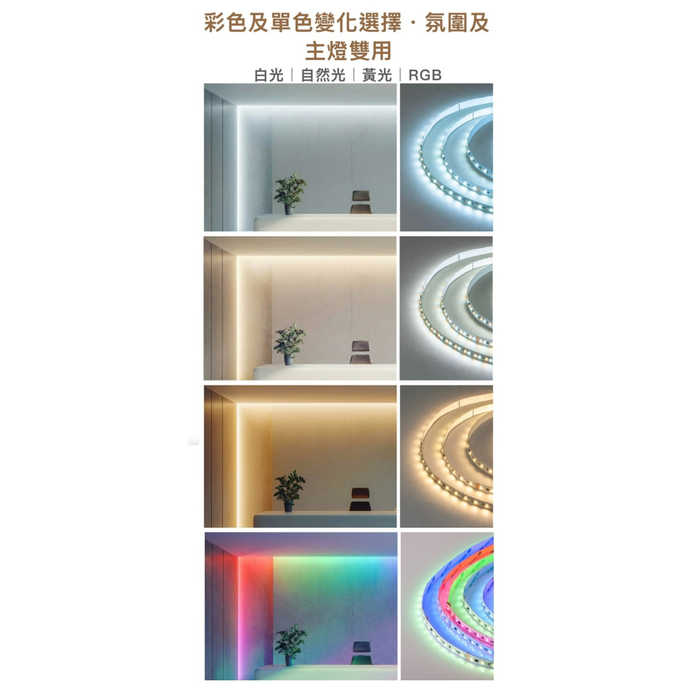 含稅 Dancelight 舞光 DC24V 室內專用 舞色幻彩軟條燈模組 燈帶 8W/米 5米/捆 附遙控器-細節圖7