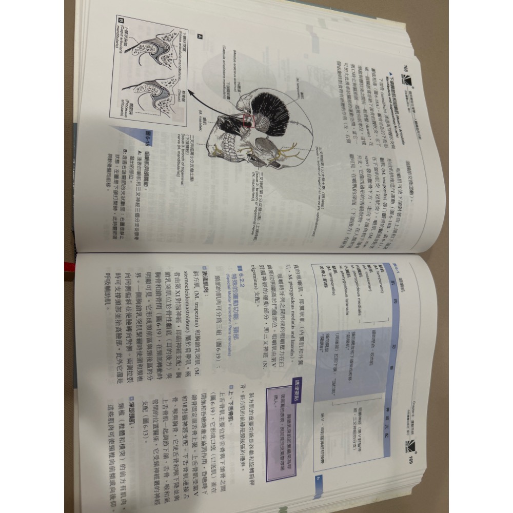 臨床解剖生理學-細節圖5