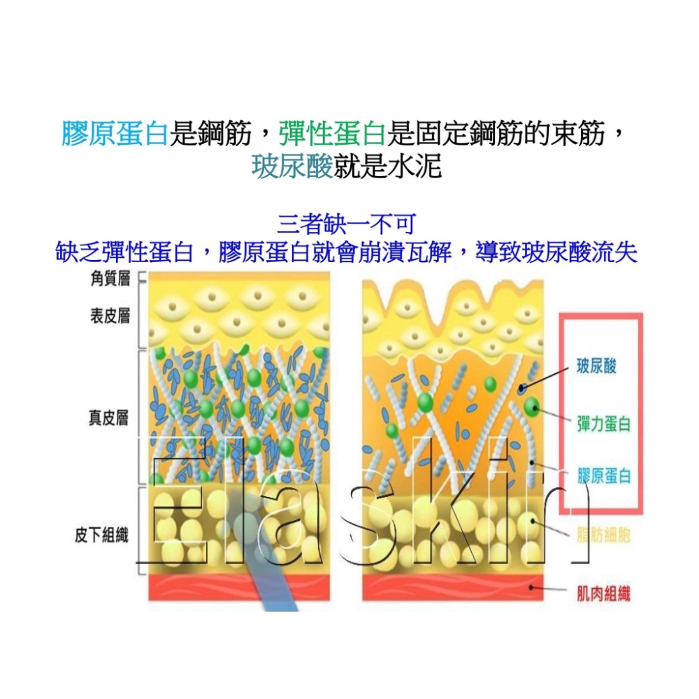 極萃蜂王緊緻面膜（1盒6片）-細節圖5
