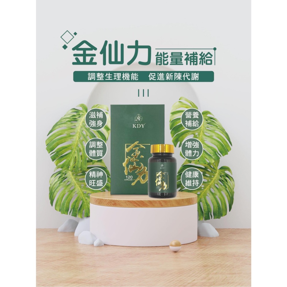 金仙力-細節圖3