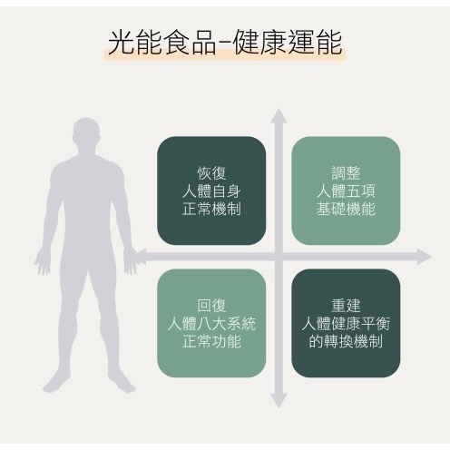 金仙力-細節圖6