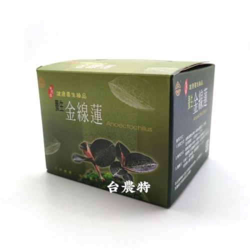 [台灣農特]東光金線蓮茶包-小盒(3.5g*15包)*1盒~現貨含稅可刷卡可宅配