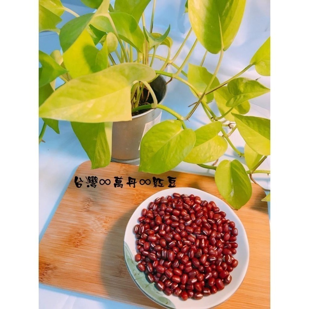 現貨~台灣萬丹紅豆-600g 紅豆-細節圖2