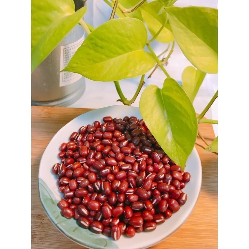 現貨~台灣萬丹紅豆-600g 紅豆-細節圖3