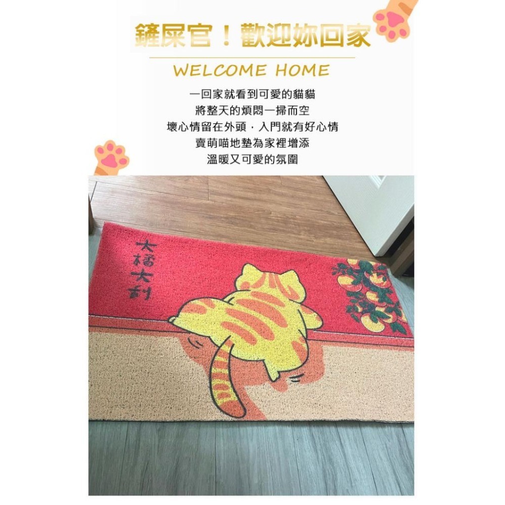 ❤新上架 貓咪入門地墊 橘貓絲圈地墊刮泥地墊 不規則地墊貓砂墊寵物墊 大門地墊門口玄關地墊 腳踏墊門墊止滑墊-細節圖3