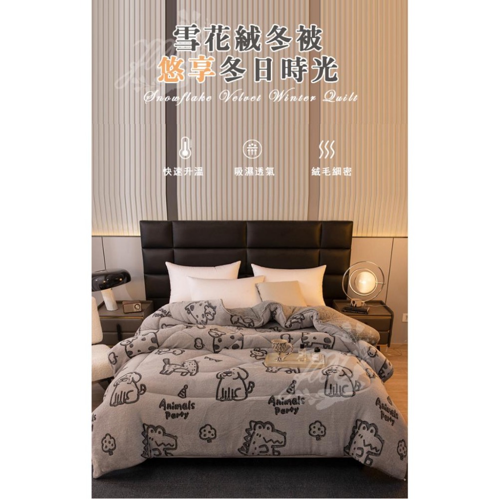 台灣出貨 ❤️法蘭絨羊羔雪花絨雙面 暖暖被200x230CM 冬季必備 保暖 舒適 法蘭絨被 羊羔絨 保暖棉被 冬被-細節圖2