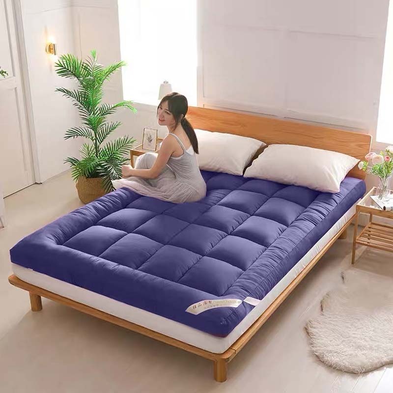 台灣出貨🌟二代加厚加重羽絲絨床墊 僅此一家 厚度10cm 學生床墊 宿舍床墊 羽絨 露營 交換禮物 客房-規格圖9