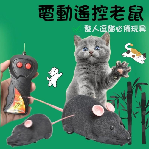 遙控老鼠 假老鼠 電動老鼠 寵物玩具 貓玩具 遙控仿真小老鼠 喵星人追老鼠 無線遙控仿真老鼠