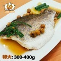 【總舖獅Lioncook】台灣金目鱸魚片(去刺/無土味/無包冰) (300~400g)-規格圖7