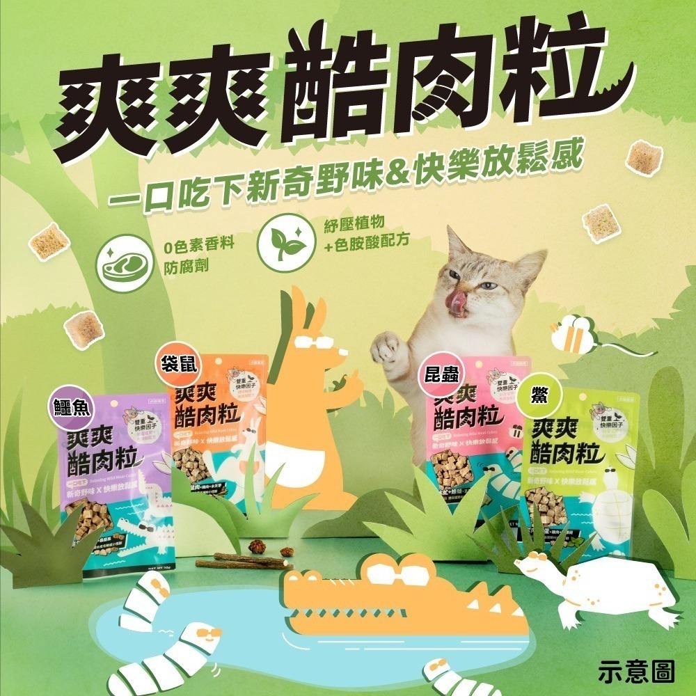 怪獸部落 小怪獸 LitoMon 咔滋零食 爽爽酷肉粒 怪獸零食 KAZZ零食 卡滋零食 寵物零食 犬貓零食-細節圖3