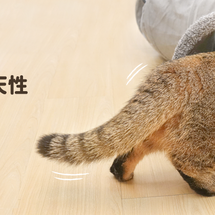 汪喵星球 S型靜音貓隧道/可折疊/S型設計/貓咪玩具/隧道玩具/方便收納-細節圖2