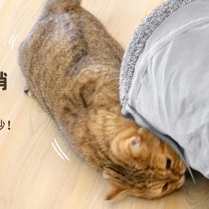 汪喵星球 S型靜音貓隧道/可折疊/S型設計/貓咪玩具/隧道玩具/方便收納-細節圖4