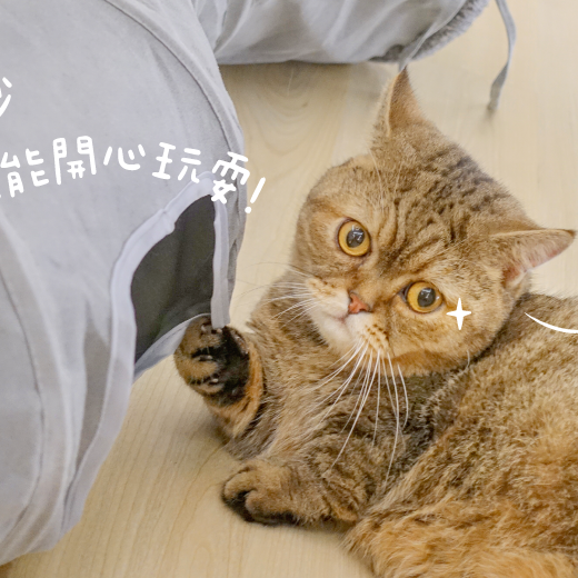 汪喵星球 S型靜音貓隧道/可折疊/S型設計/貓咪玩具/隧道玩具/方便收納-細節圖6