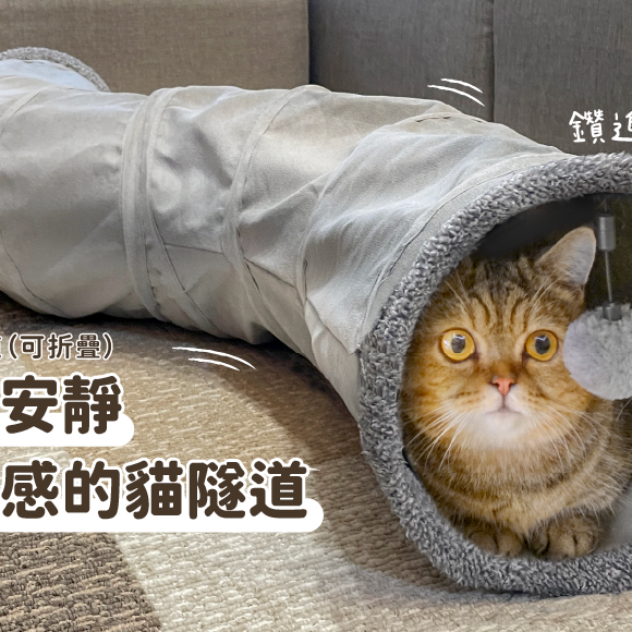 汪喵星球 S型靜音貓隧道/可折疊/S型設計/貓咪玩具/隧道玩具/方便收納-細節圖7
