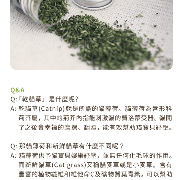 汪喵星球 貓草/木天蓼/頂級貓薄荷棒棒/潔牙木天蓼/舒壓蟲癭果/貓咪紓壓-細節圖2