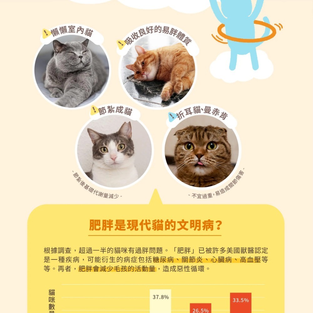 HeroMama 飛輪 輕盈低卡主食罐/低脂/高蛋白/無穀/無爭議膠/貓咪主食罐/高含肉量/貓罐/貓主食/主食罐 80g-細節圖3