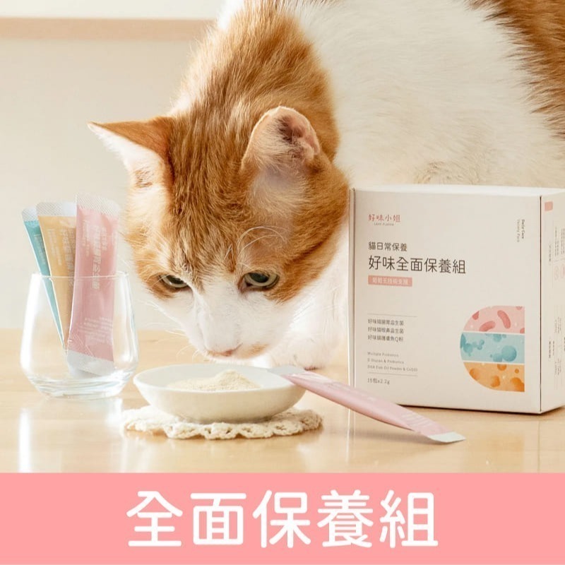 好味小姐 LADY FLAVOR 貓日常保養/適口性高/呼吸道/腸胃/眼鼻/皮膚/益生菌/全齡貓/寵物保養/貓咪保養-細節圖2