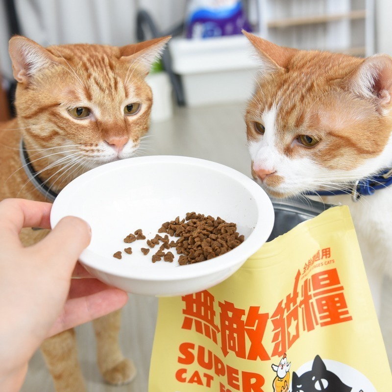 免運 貓樂園 ParkCat 無敵貓糧/貓咪飼料/貓乾糧/貓乾乾/貓飼料+贈品-細節圖4