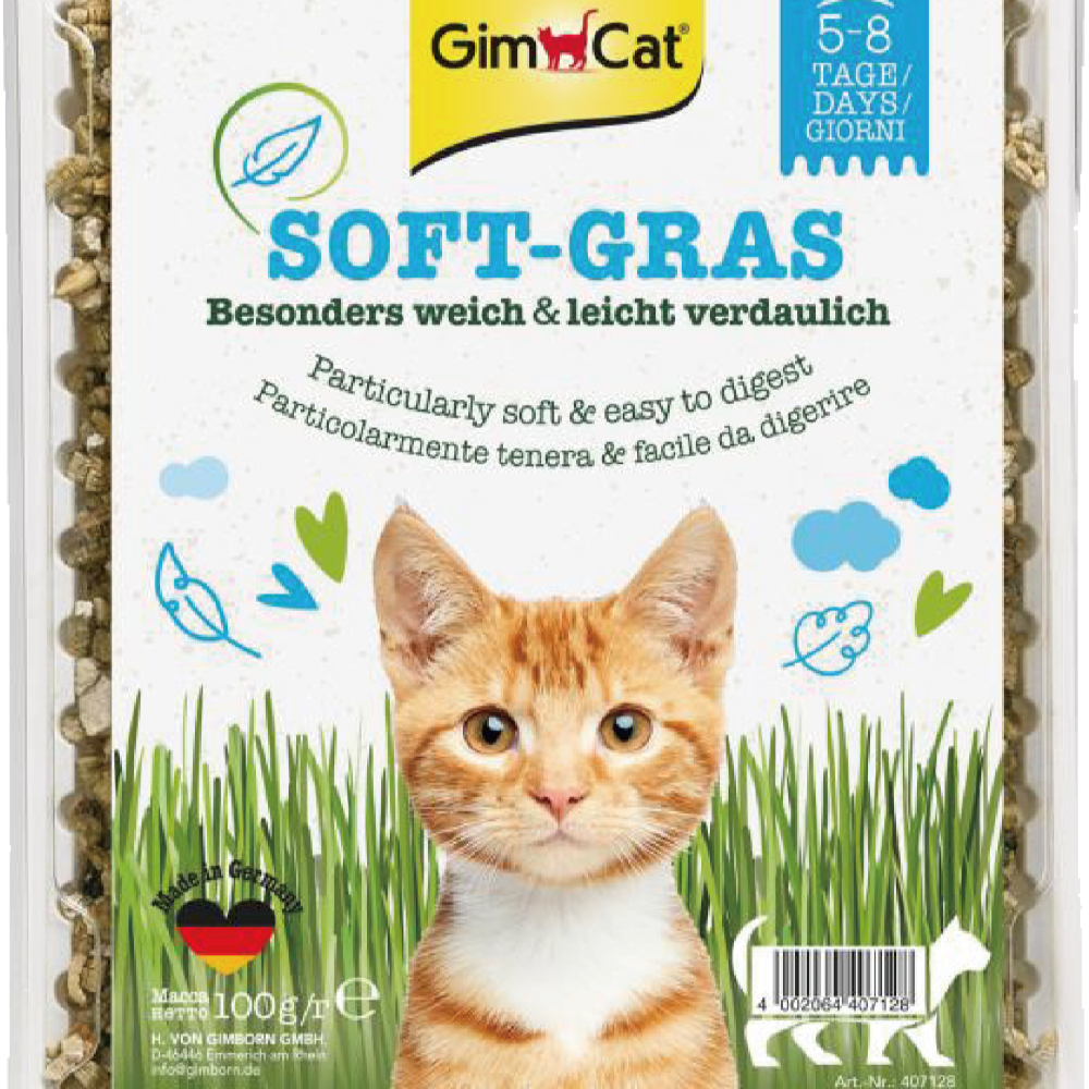 德國 竣寶 Gimcat 速成胚芽貓草/DIY培植/貓草/貓草種植/貓薄荷 袋裝/盒裝-細節圖4