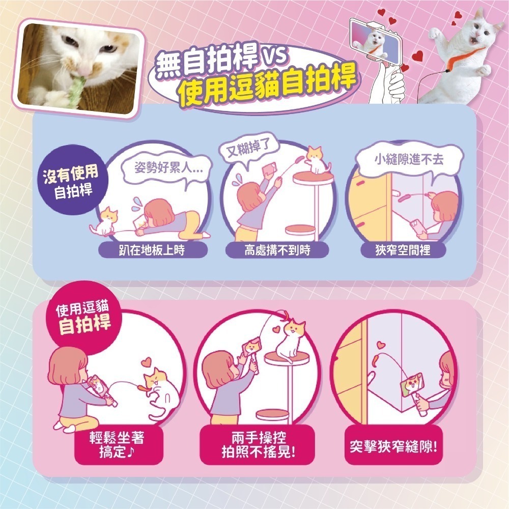 多格漫 CattyMan 貓咪/逗貓/愛貓/貓咪玩具/逗貓玩具-細節圖5