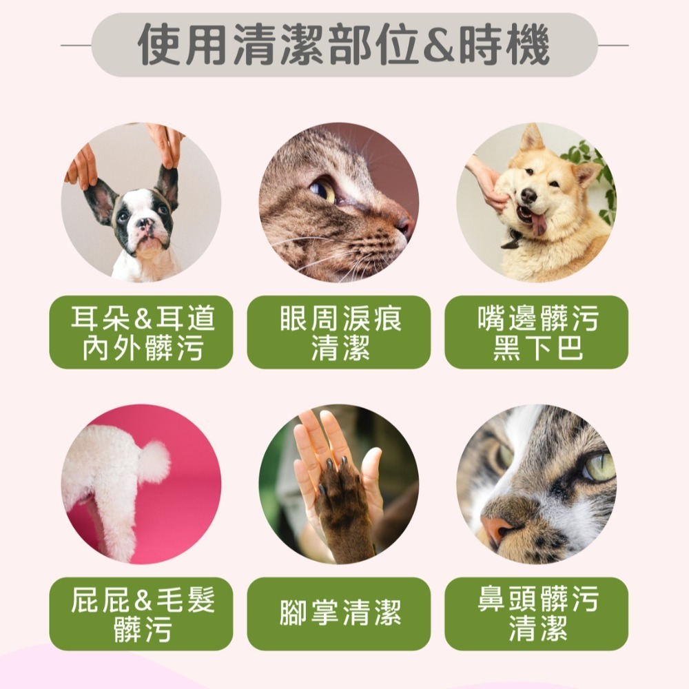 TENDER 天生溫柔 保加利亞薰衣草潔耳&潔膚棉片/無酒精/無香精/寵物潔耳/潔耳棉片 70片-細節圖2