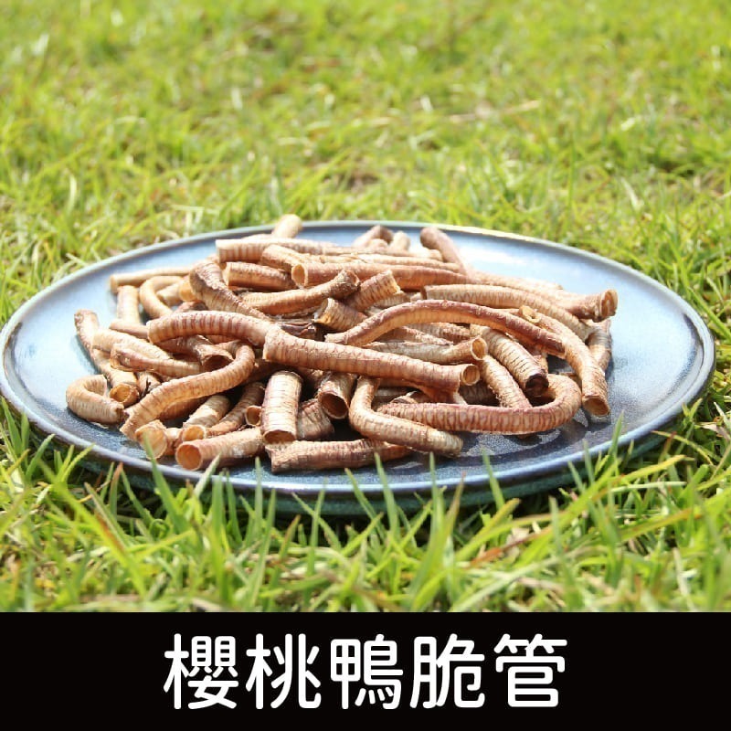 寵鮮灶腳 贈(詳內文) 手作肉乾/寵物零食/健康零食/雞胸肉/鴨胸肉/鯊魚軟骨/雞胗/鴨菲力(效期內文)-細節圖7