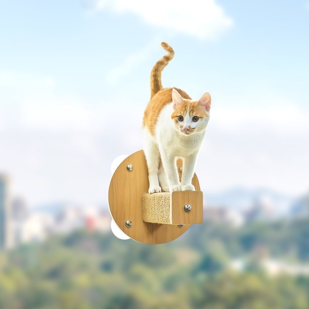 怪獸部落 漫步雲端/貓吊床/貓階梯/吸盤式/貓咪玩具/貓用品-細節圖3